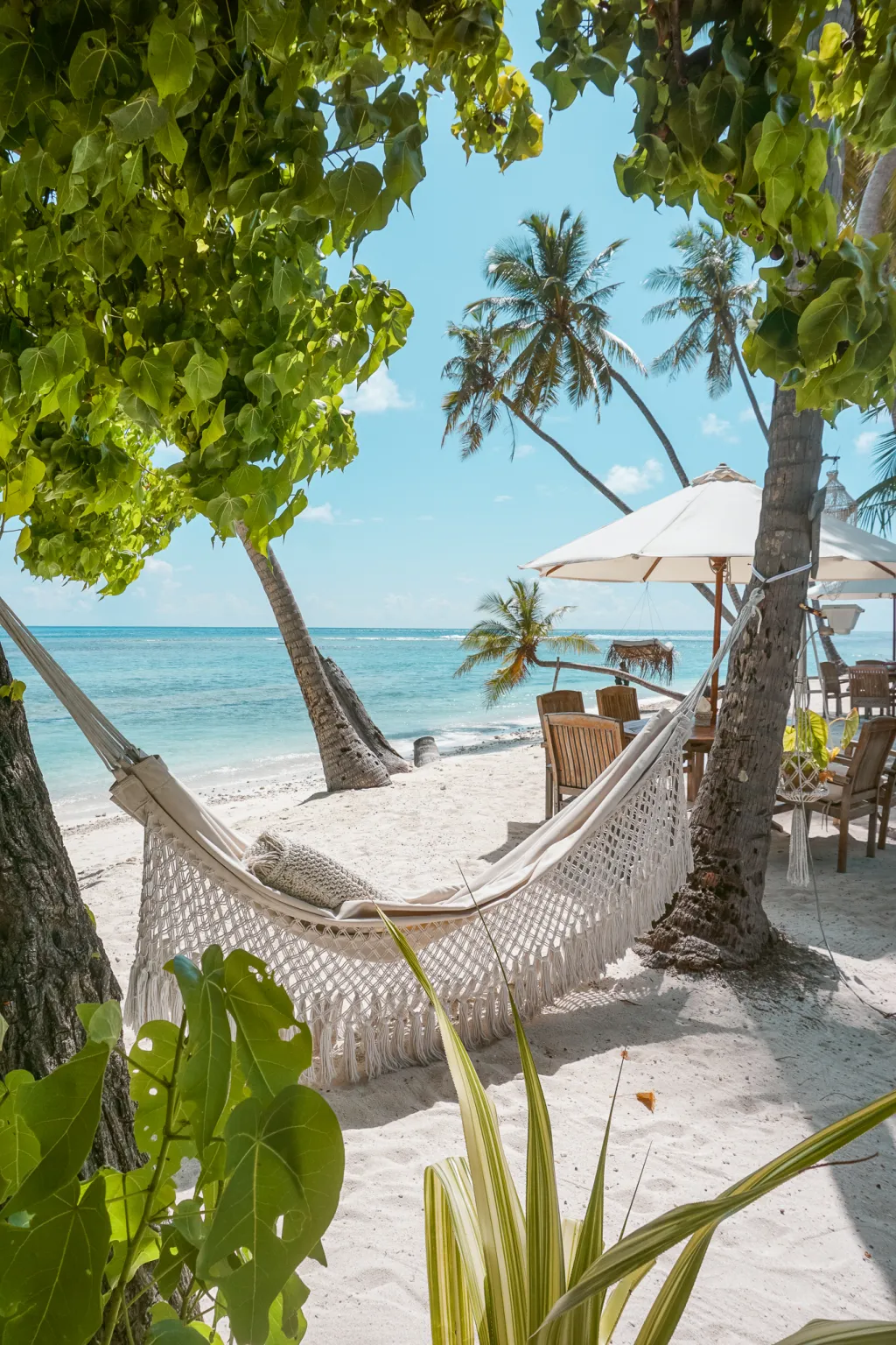 The Maldives on a Budget