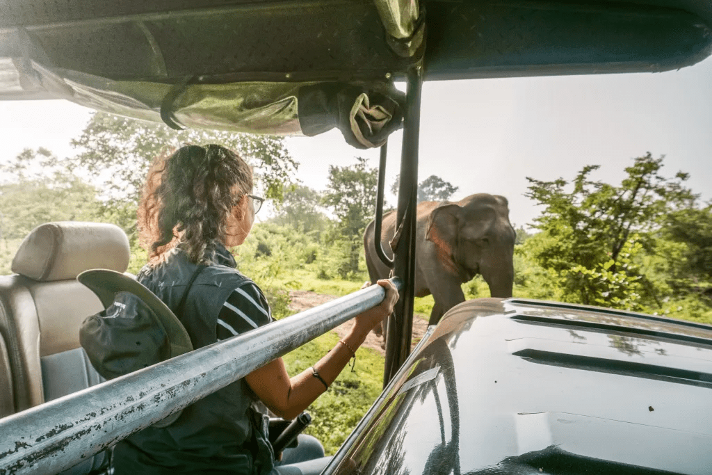 Safari in Sri Lanka