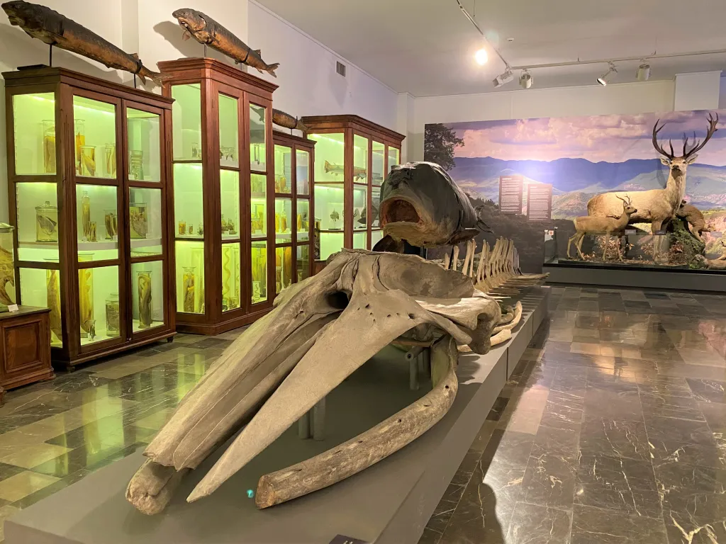 Things To Do in Tbilisi